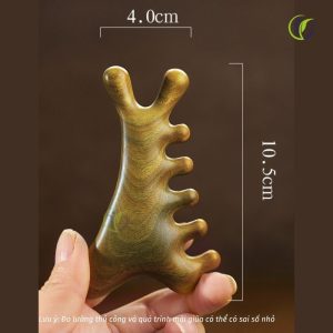 Lược massage gỗ đàn hương xanh có kích thước phù hợp cầm vừa tay