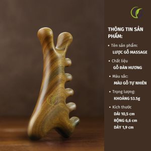 Thông tin chi tiết sản phẩm Lược massage gỗ chải đầu