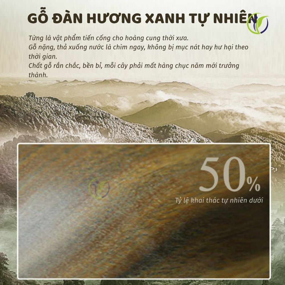 Đặc điểm của gỗ đàn hương xanh tự nhiên dùng làm lược massage đầu