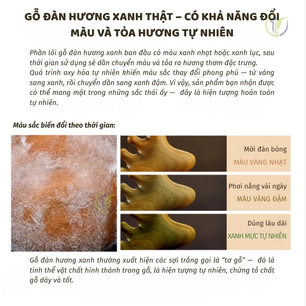 Lược massage làm bằng gỗ đàn hương thật có khả năng đổi màu và tỏa hương tự nhiên