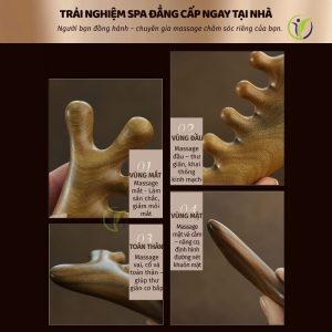 Công dụng của lược massage đầu gỗ đàn hương xanh
