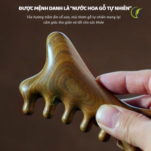 Lược massage chải đầu gỗ đàn hương có mùi hương gỗ tự nhiên thoải mái
