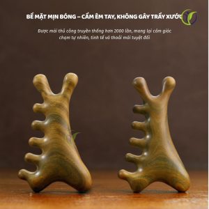 Lược massage gỗ Holimeda bề mặt mịn bóng không gây trầy xước