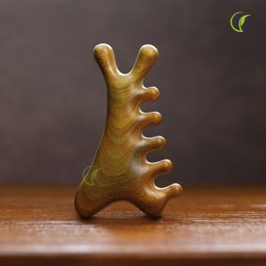 Lược Massage Chải Đầu Gỗ Đàn Hương Xanh Tự Nhiên - Chuyên Gia Massage Chăm Sóc Riêng Của Bạn Ngay Tại Nhà