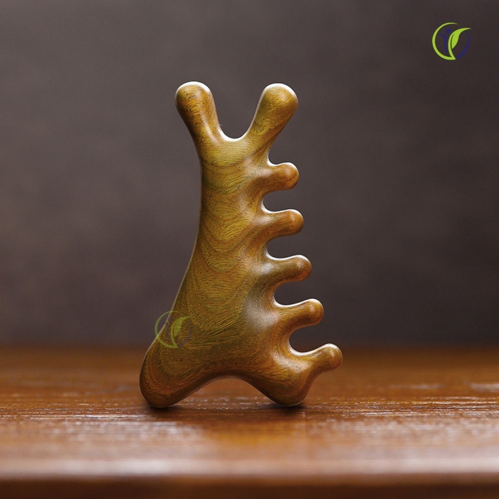 Lược Massage Chải Đầu Gỗ Đàn Hương Xanh Tự Nhiên - Chuyên Gia Massage Chăm Sóc Riêng Của Bạn Ngay Tại Nhà