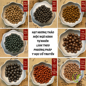 Vòng tay thảo dược trị liệu đại diện cho Ngũ hành và các Tạng phủ tương ứng