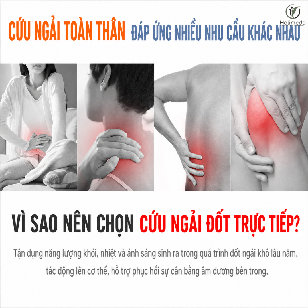 Những câu hỏi thường gặp về giá đỡ ngải cứu